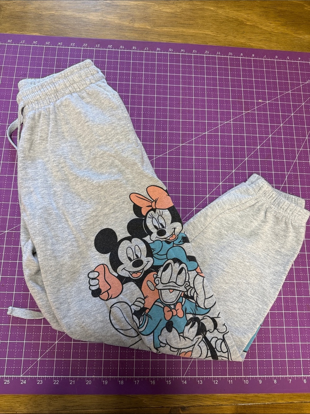 Disney Gray Minnie & Friends Graphic Jogger Pants